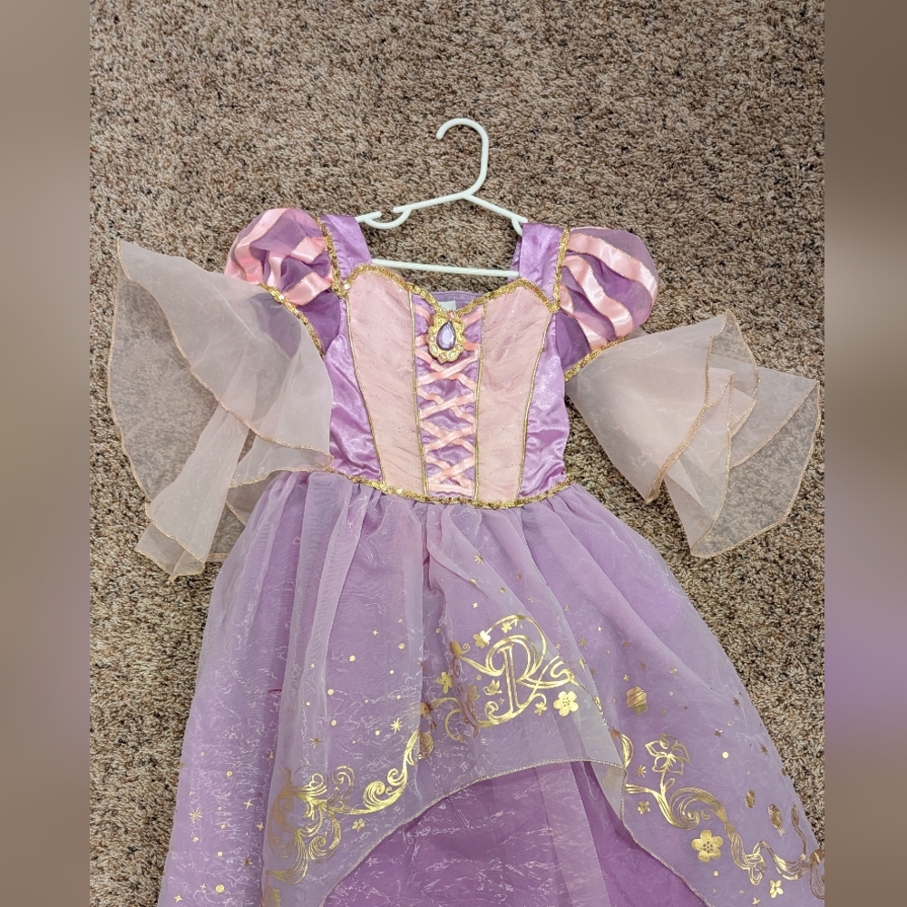 Disney Purple and Gold Princess Dress